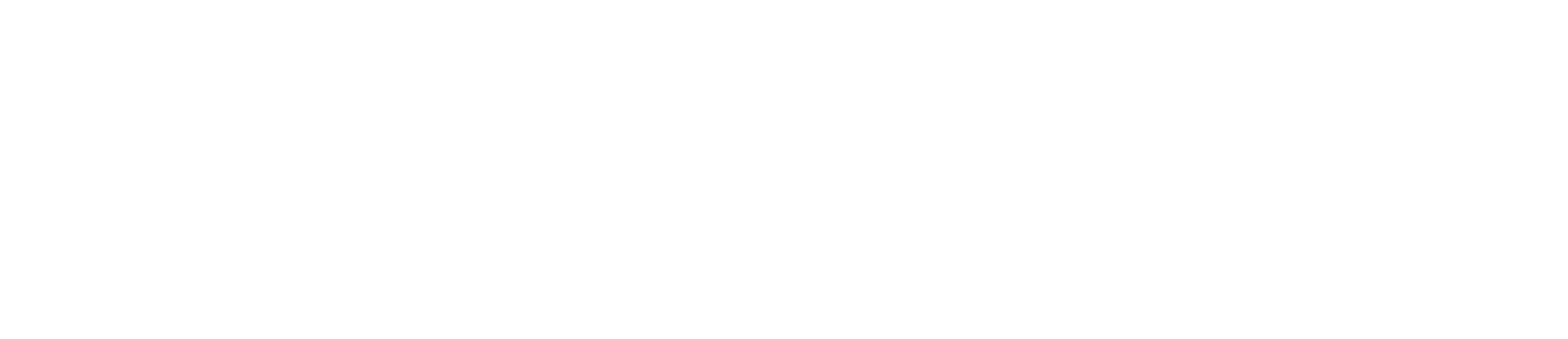 the-nantucket-hotel-logo